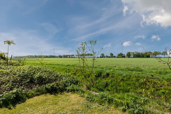 Unikenkade 37 50 of 50.jpg
